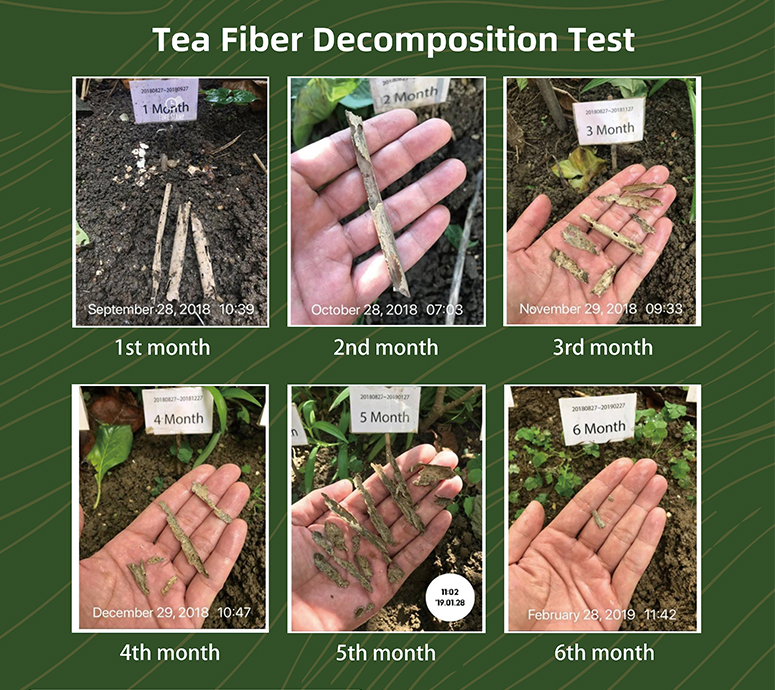 Technológia Buletedan