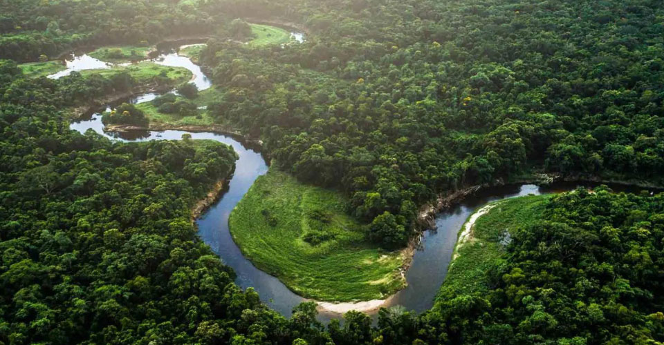 Technológia Buletedan