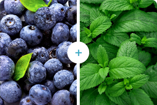 Technológia Buletedan