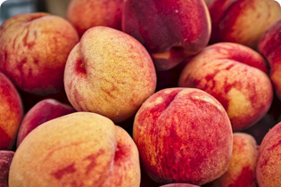 Technológia Buletedan