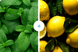 Technológia Buletedan