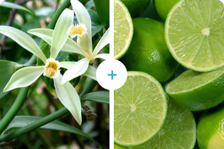 Technológia Buletedan